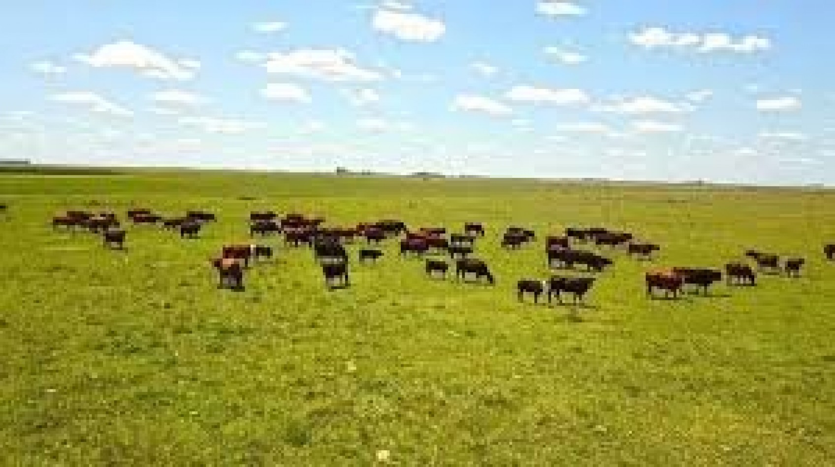 Campo a la venta en Ayacucho. Buenos Aires interior.